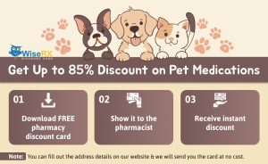 Up to 85% Instant Discount on Pet Medications